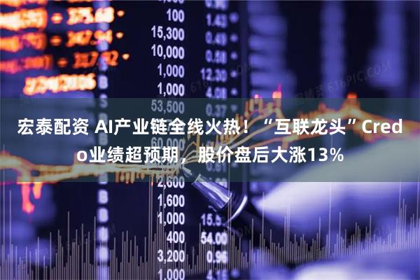 宏泰配资 AI产业链全线火热！“互联龙头”Credo业绩超预期，股价盘后大涨13%