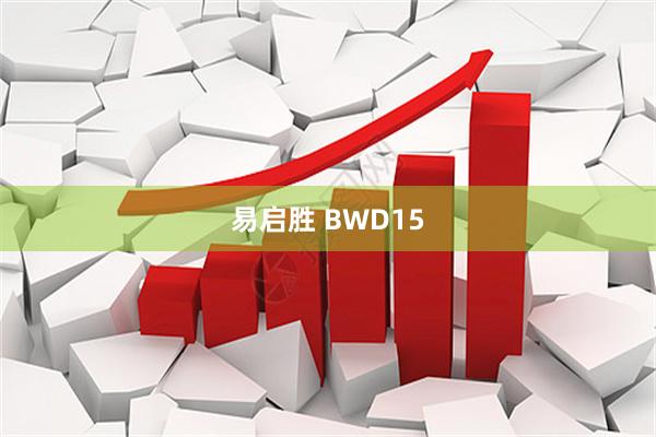 易启胜 BWD15