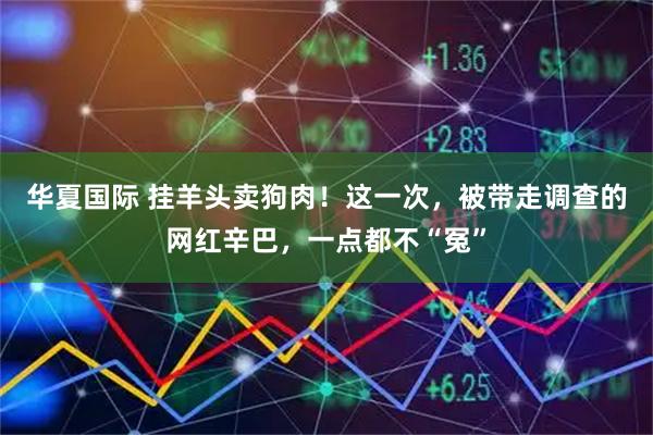 华夏国际 挂羊头卖狗肉！这一次，被带走调查的网红辛巴，一点都不“冤”