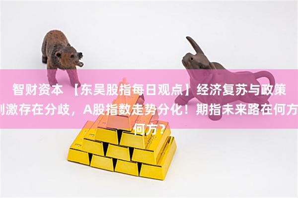 智财资本 【东吴股指每日观点】经济复苏与政策刺激存在分歧，A股指数走势分化！期指未来路在何方？