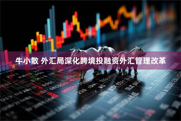 牛小散 外汇局深化跨境投融资外汇管理改革