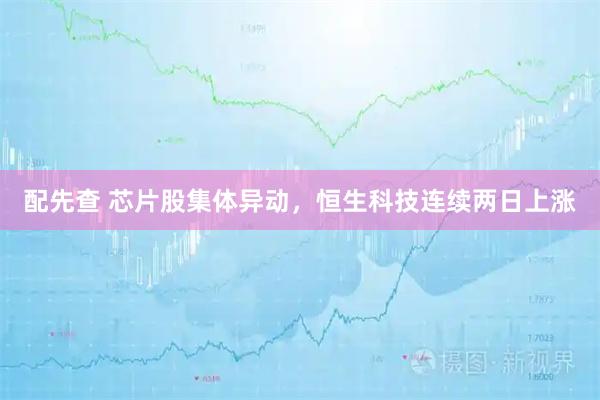 配先查 芯片股集体异动，恒生科技连续两日上涨